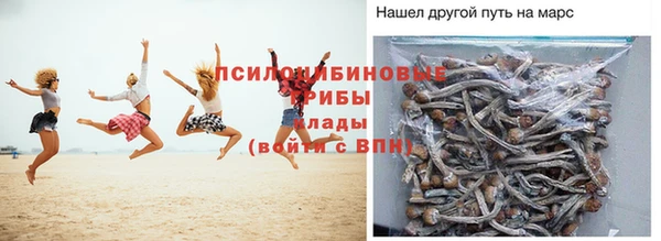 шишки Лиски