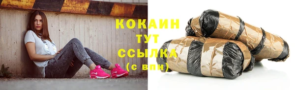 шишки Лиски