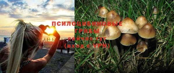 мяу мяу кристалл Лихославль