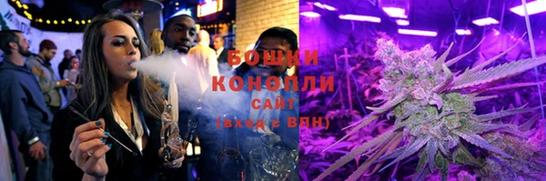 дживик Липки