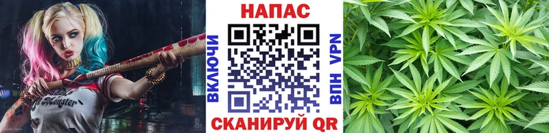 Купить где  Карабулак  Бошки Шишки тримм 